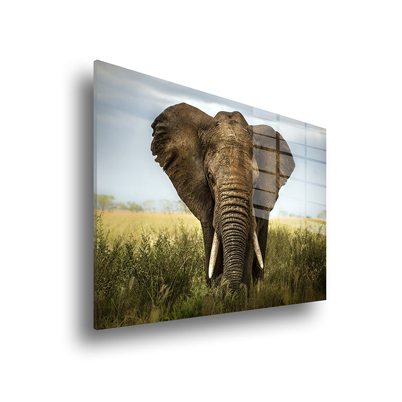 African elephant glass painting color without frame side view