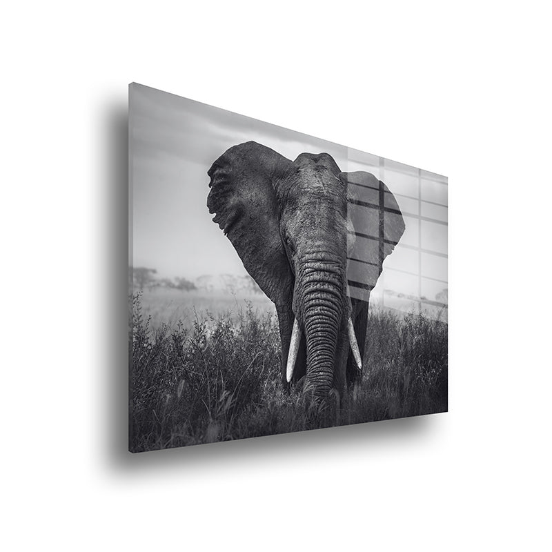 African elephant glass painting without frame side view