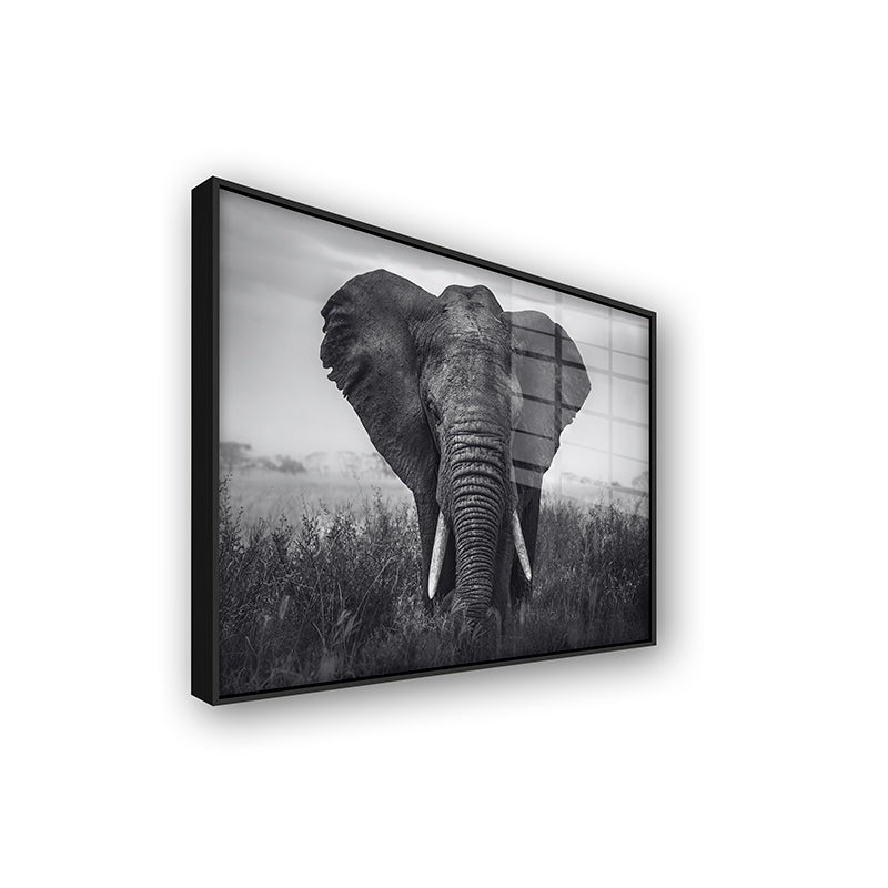 Painting of African elephant in a black frame side view