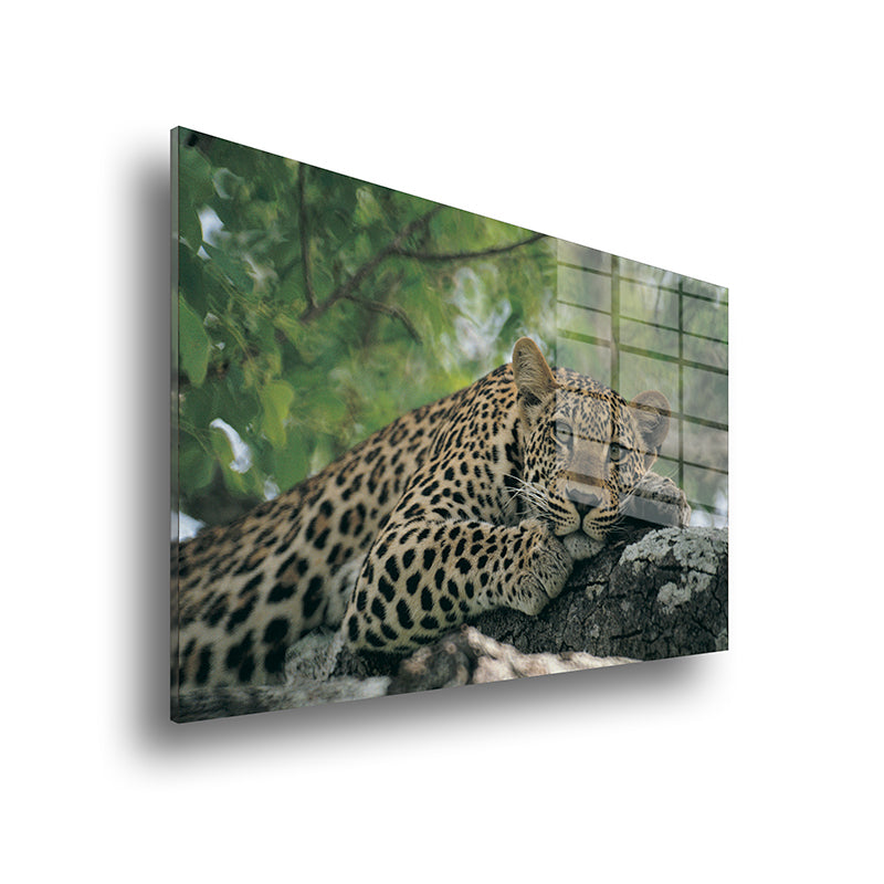 Jaguar glass painting without frame side view