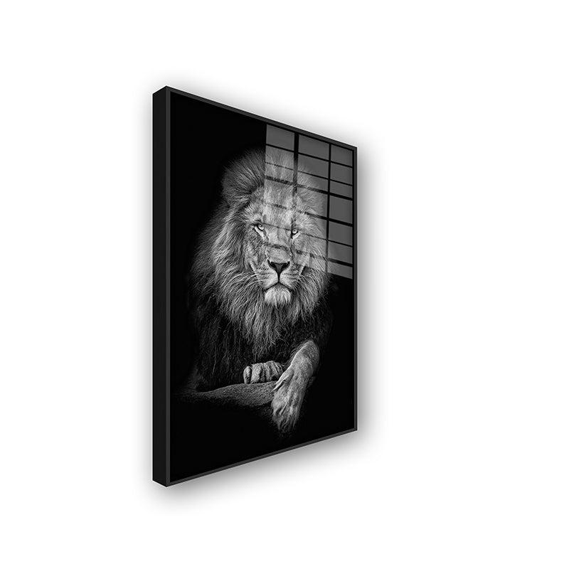 Painting of the king of the jungle in a black frame side view