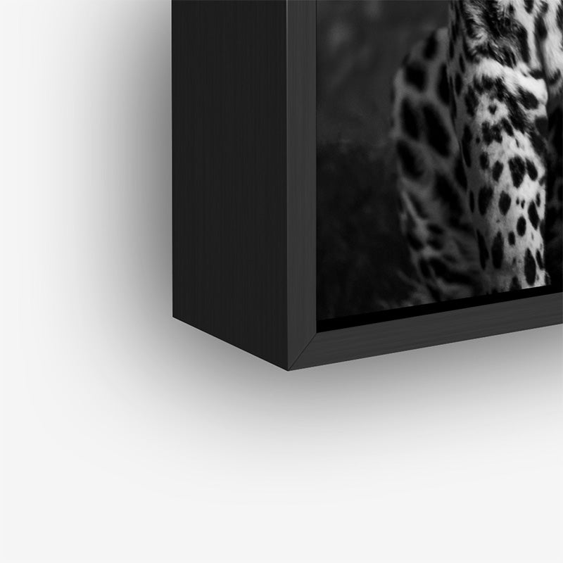 Painting of black & white leopard in a black frame closeup