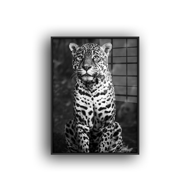 Painting of black & white leopard in a black frame front view