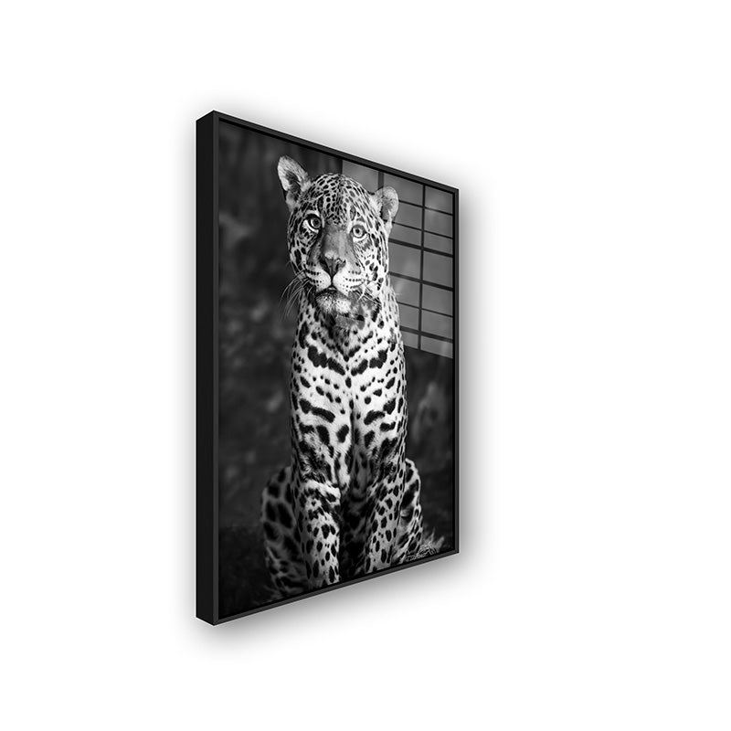 Painting of black & white leopard in a black frame side view