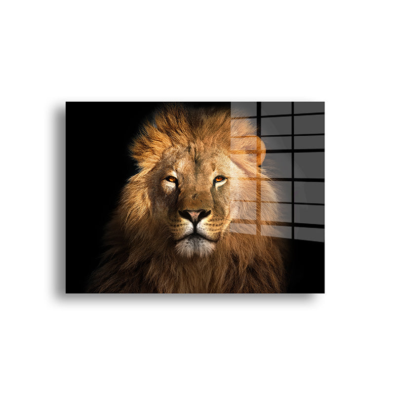 Lion color glass painting without frame front view